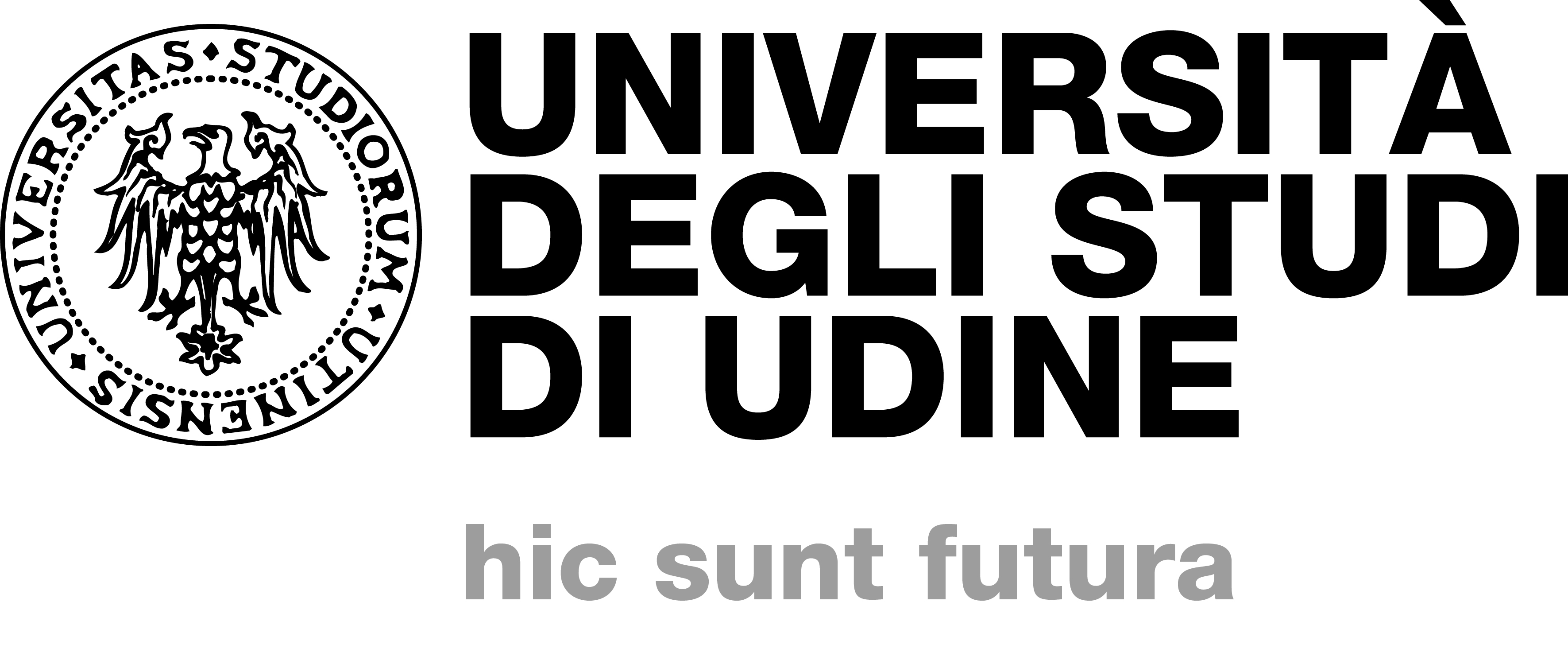 Logo dell'Università di Udine